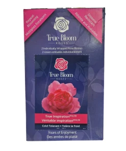 True Bloom Roses - Assortiment de roses