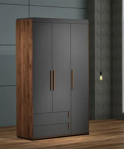 Armoire 3 Portes 2 Tiroirs (Collection Alylla)