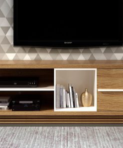 Meuble TV 1 Porte avec Niches